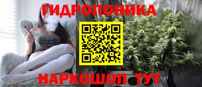 крисы Анапа