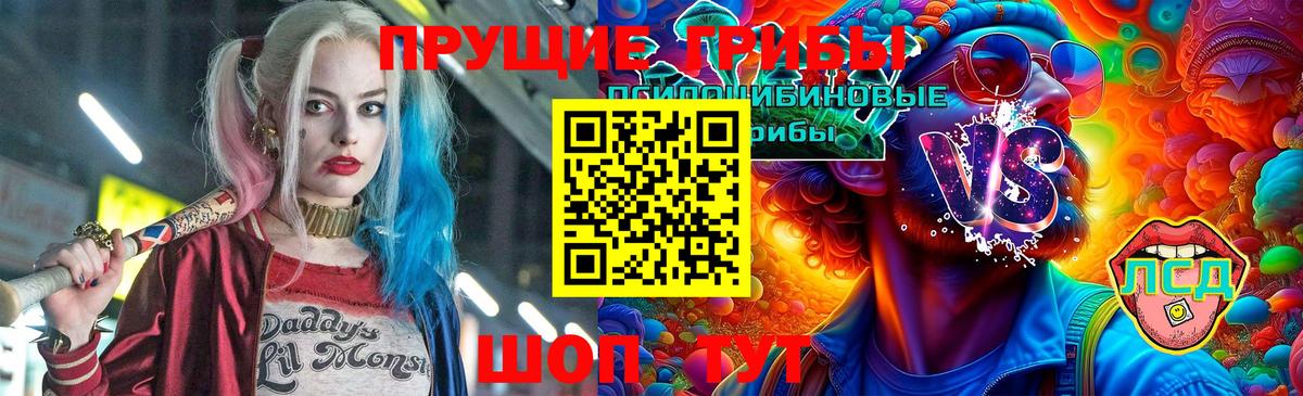 Псилоцибиновые грибы Psilocybe  Вход с VPN  Галлюциногенные грибы прущие грибы  Верхний Уфалей 