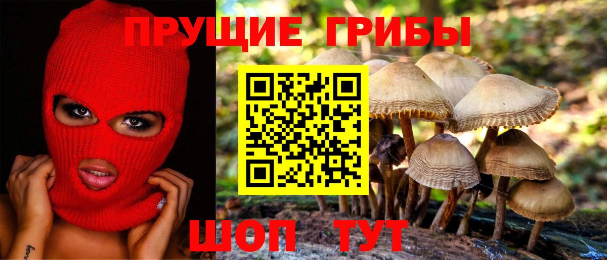 Псилоцибиновые грибы MAGIC MUSHROOMS Верхний Уфалей